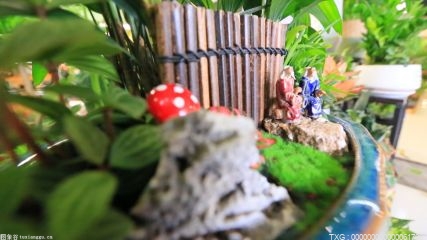 世界新动态：深圳山水田园温泉是天然温泉吗？三亚田原温泉最好游玩时间是什么时候？