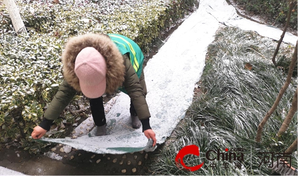 驻马店开发区城市管理局：清除积雪保通畅