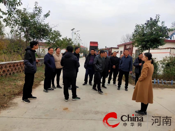 确山县朗陵街道：督导检查促提升 焦点速看