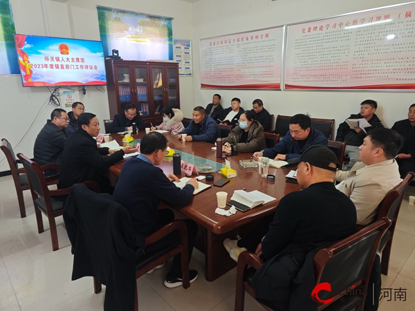 ​西平县师灵镇：人大代表实评议 监督促提升|每日热门