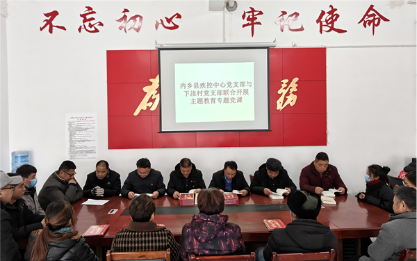 今日聚焦!内乡县疾控中心党支部走进下洼村开展包联共建活动