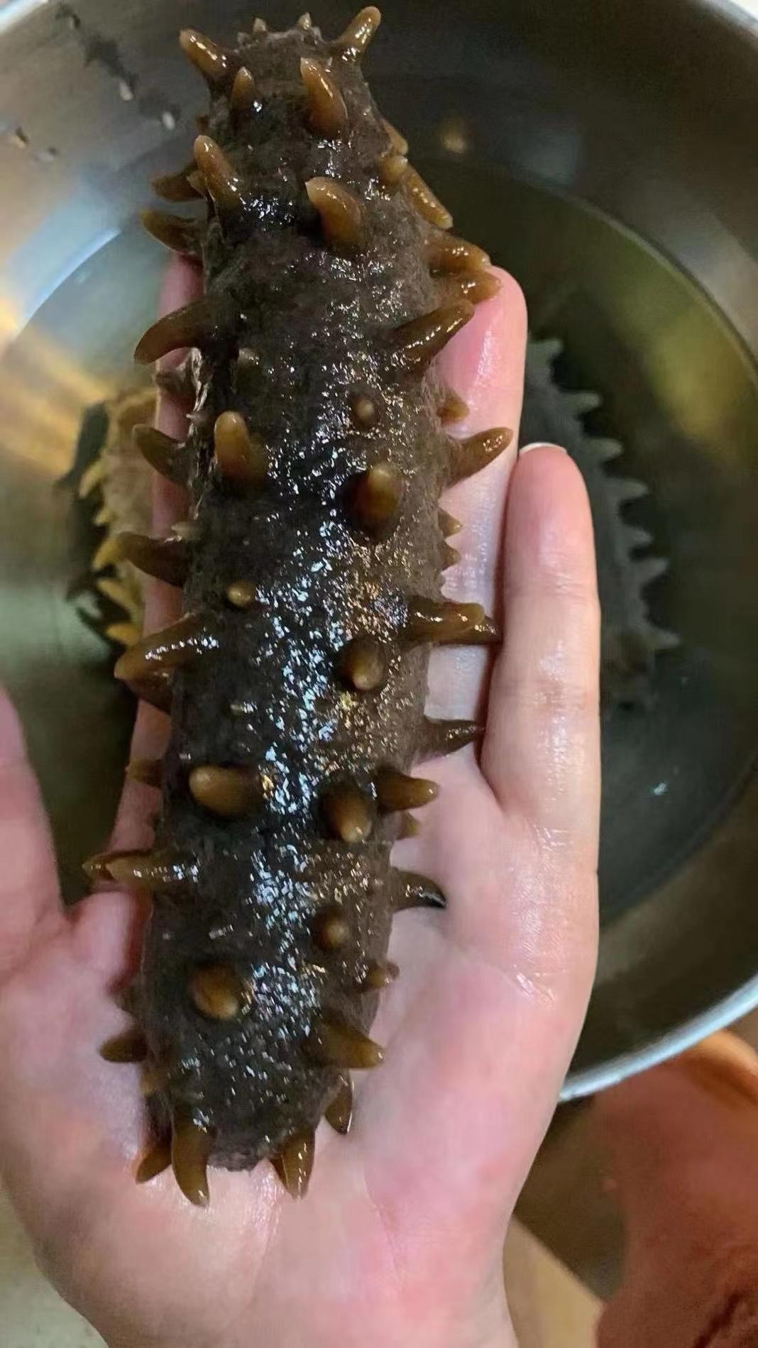 冬至吃海参，这几点需要注意